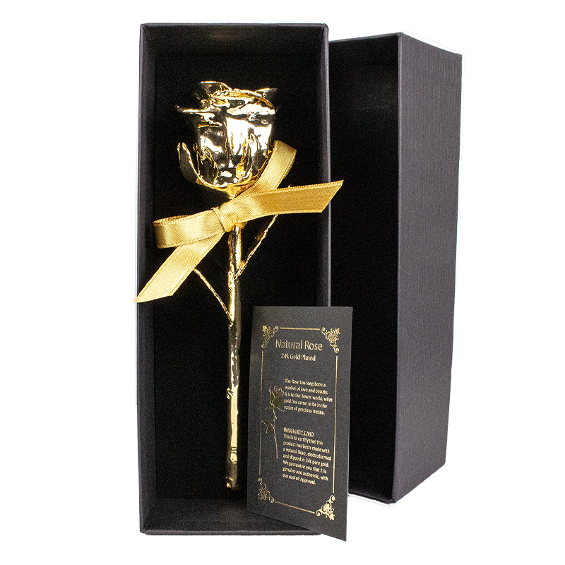 Echte Rose beschichtet mit reinstem Feingold, 16 cm