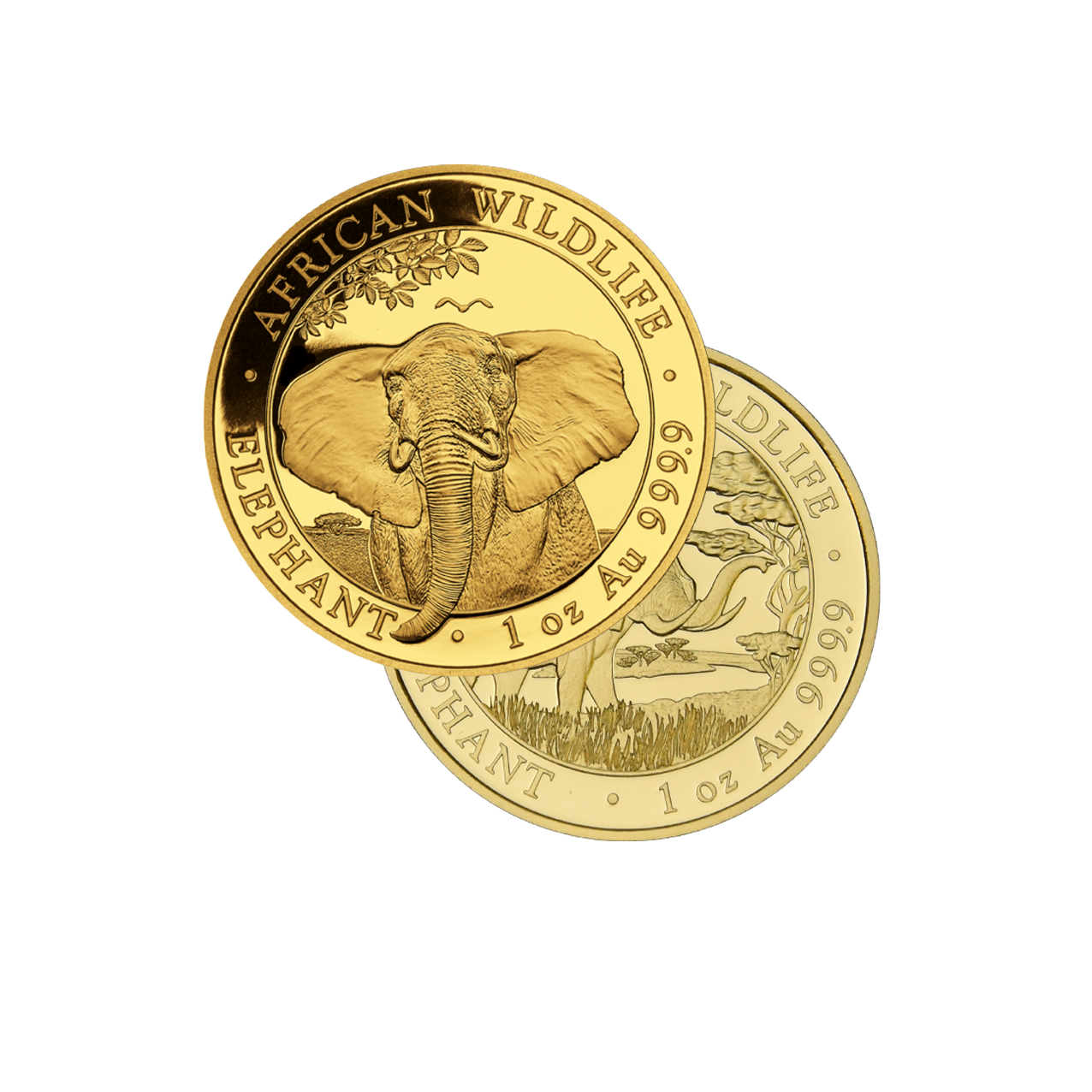 Elefant (diverse Jahrgänge) - Somalia 1 oz Goldmünze .9999