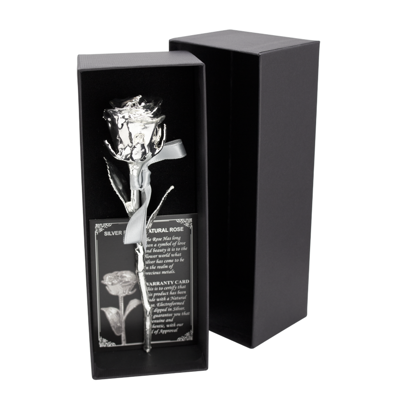 Echte Rose beschichtet mit Silber 16 cm