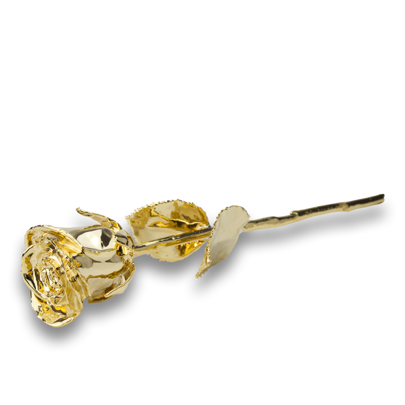 Natural rose, coated with purest fine gold, 27 cm
