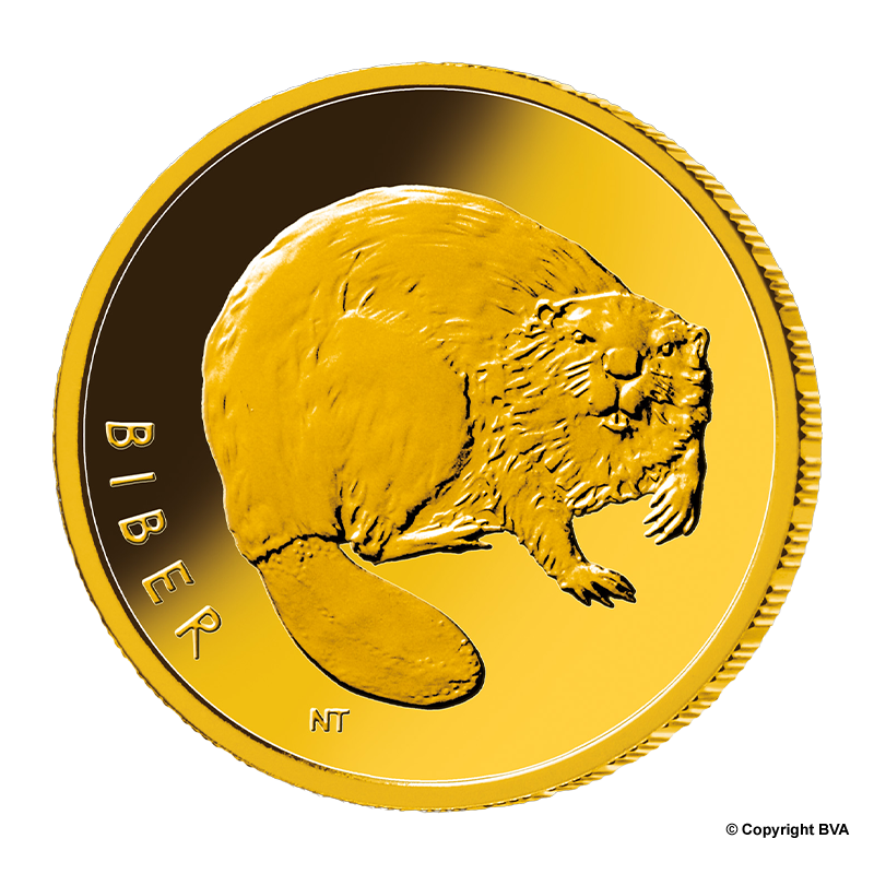 Rückkehr der Wildtiere: "Biber" 2024 - Deutschland 20 Euro 1/8 oz Goldmünze - verschiende Prägestätten