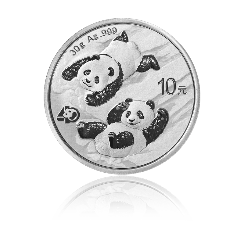 Panda 2022 - China 30 g Silbermünze