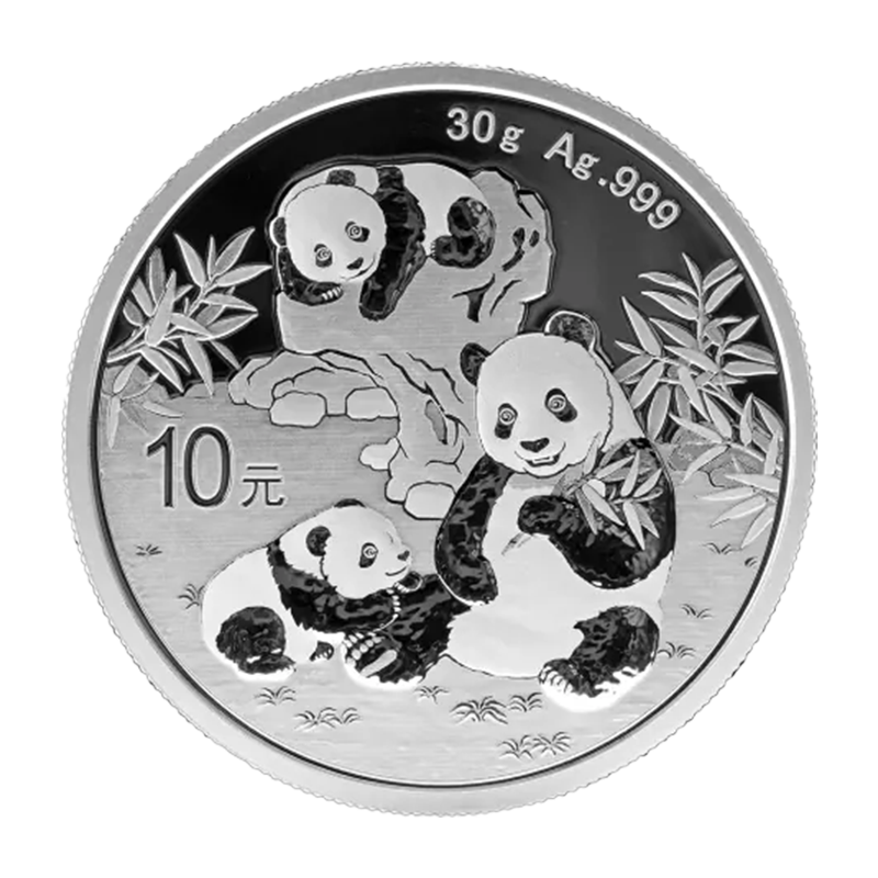 Panda 2025 - China 30 g Silbermünze