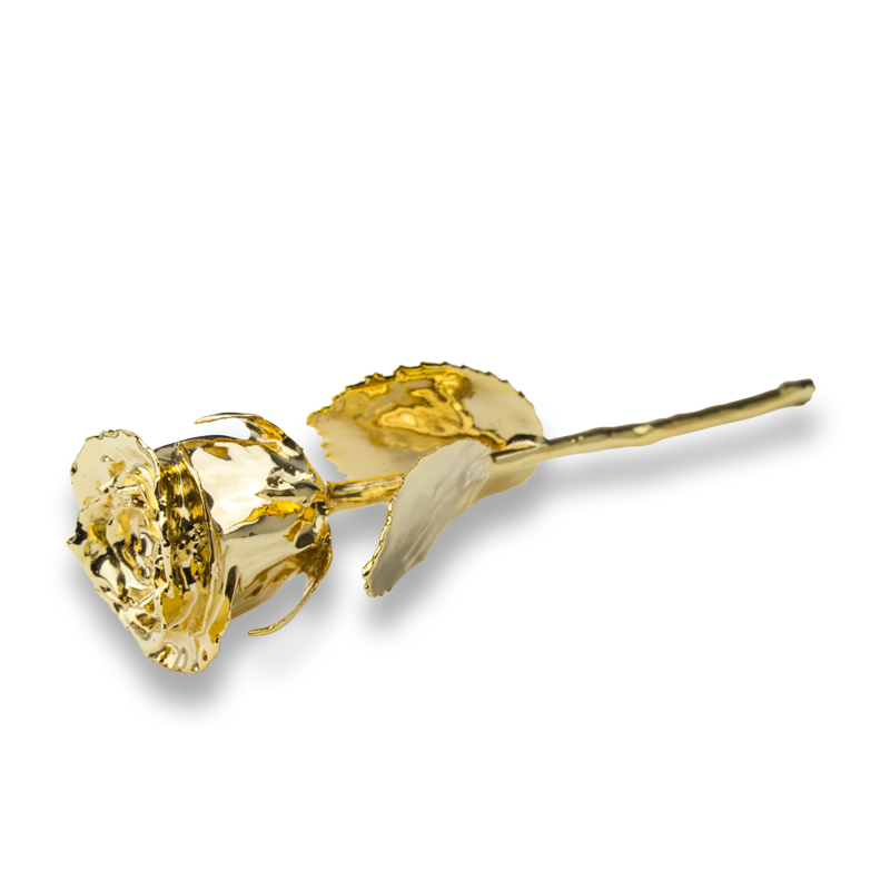 Natural rose, coated with purest fine gold, 16 cm