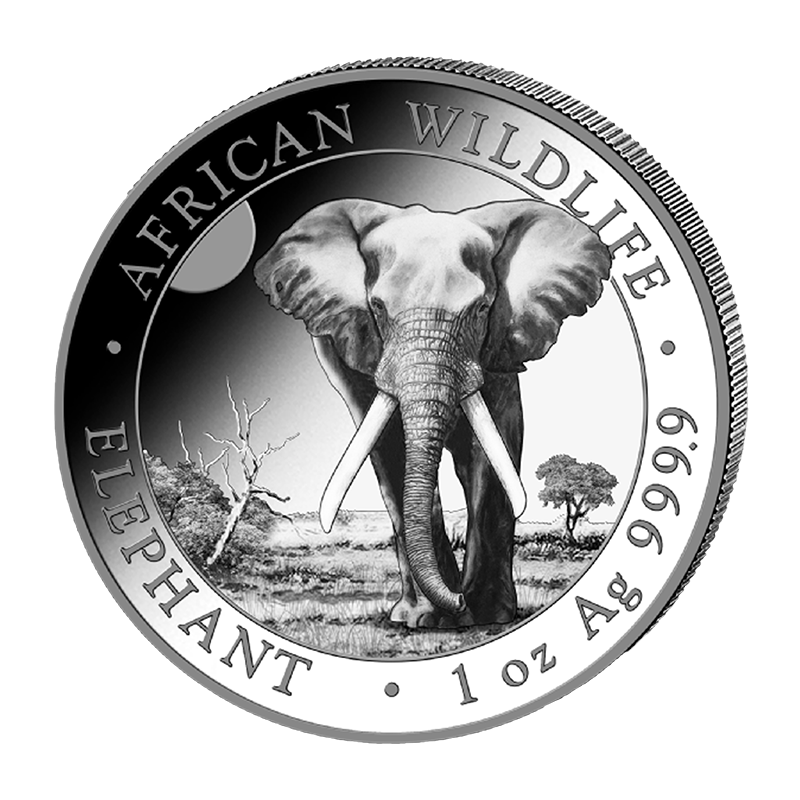 Somalia Elephant 1 oz silver coin 9999, 2025