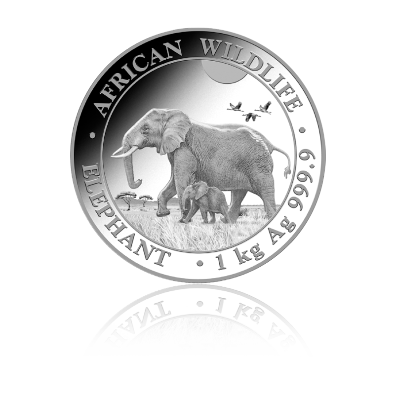 Elefant 2022 - Somalia 1 kg Silbermünze .9999