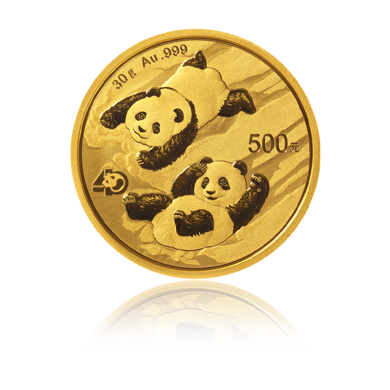 Panda 2022 - China 30 g Goldmünze