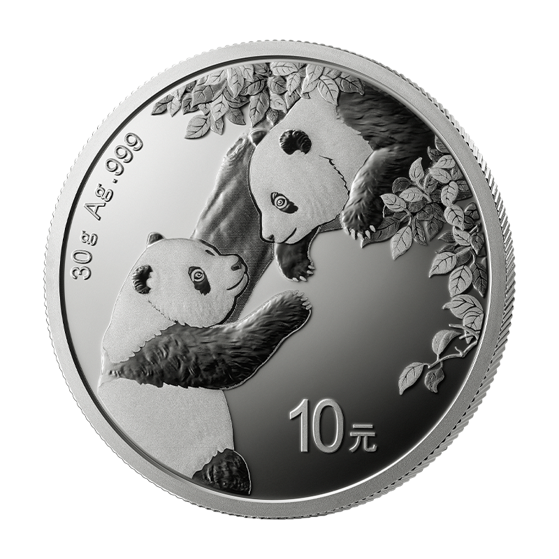 Panda 2023 - China 30 g silver coin .999