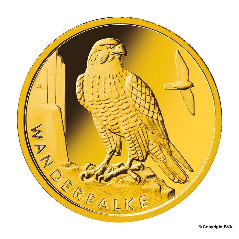 Heimische Vögel: Wanderfalke 2019 - Deutschland 20 Euro 1/8 oz Goldmünze - verschiedene Prägestätten