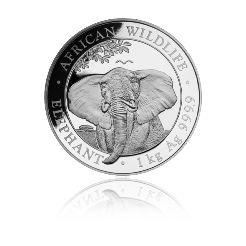 Elefant 2021 - Somalia 1 kg Silbermünze .9999