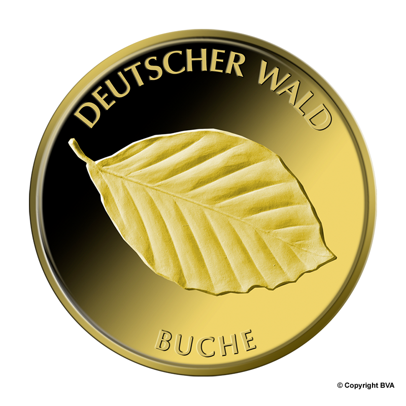 Deutscher Wald: Buche 2011 - Deutschland 20 Euro 1/8 oz Goldmünze -Prägestätte verschiedene