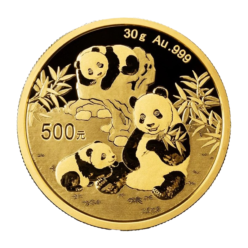 Panda 2025 - China 30 g Goldmünze